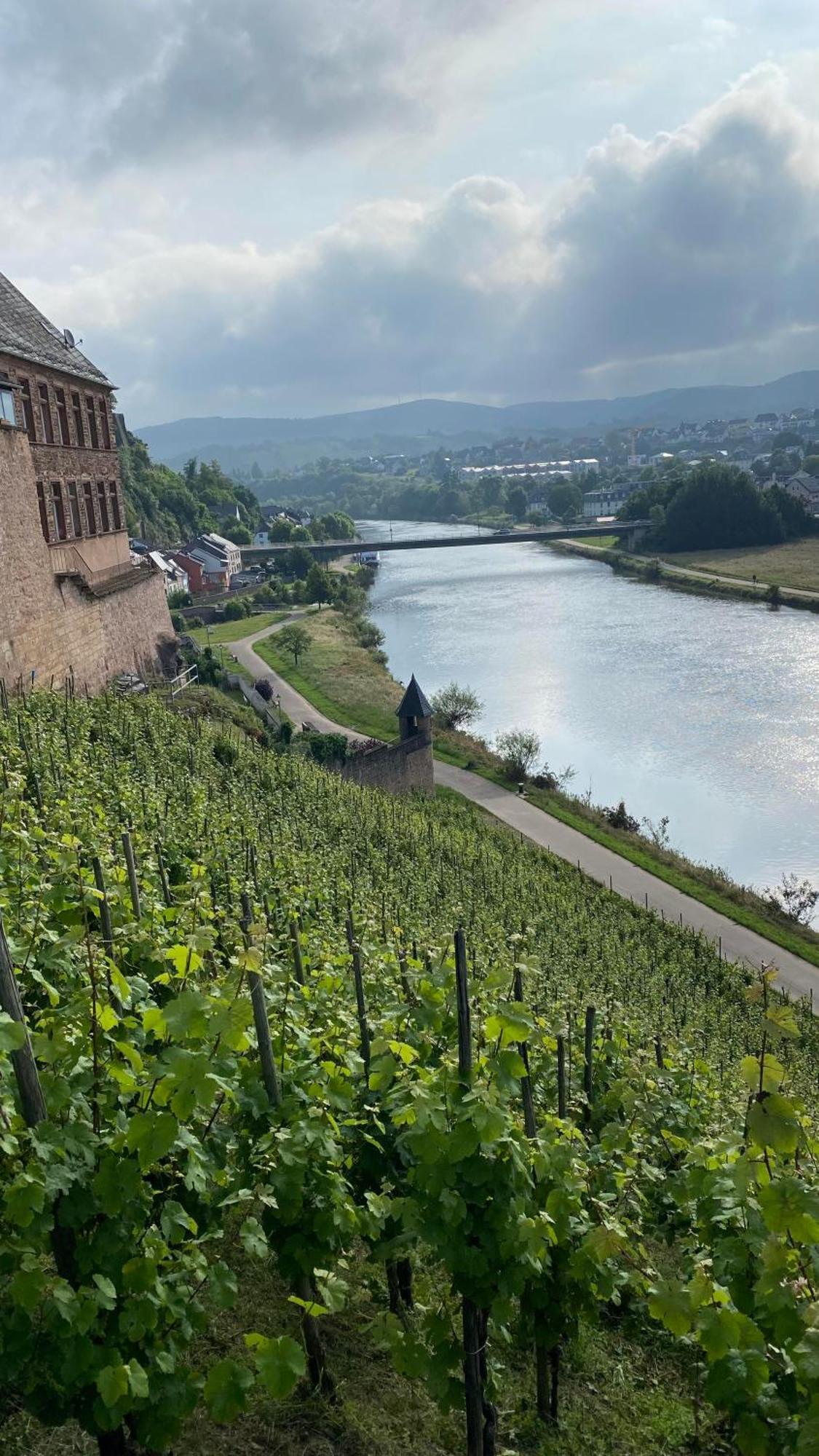 Villa Weingut Dr Wagner Saarburg Exterior foto