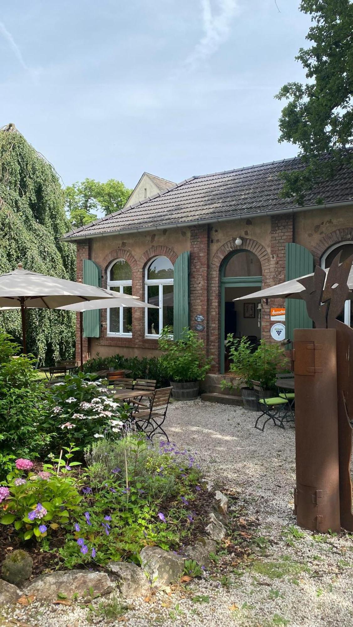 Villa Weingut Dr Wagner Saarburg Exterior foto